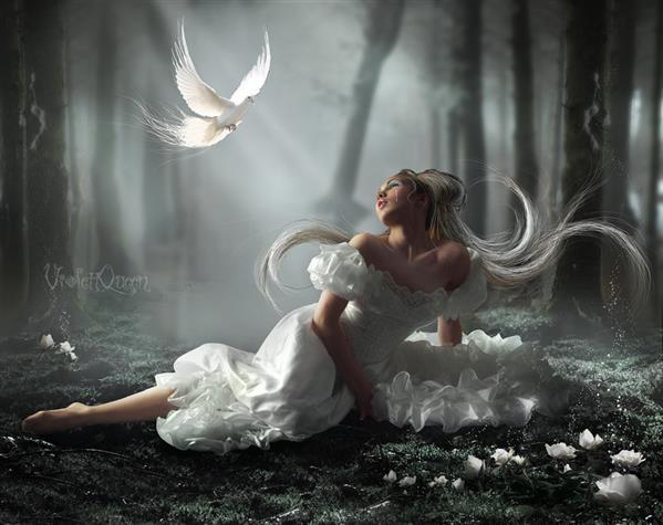 Pure White Bird Photoshop Manipulation