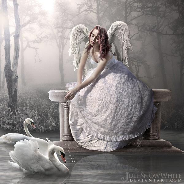 White Wings Fallen Angel Photo Manipulation