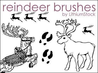 Reindeer
 Brushes I by LithiumStock photoshop resource collected by psd-dude.com from deviantart