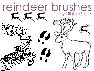 Reindeer
 Brushes I by LithiumStock photoshop resource collected by psd-dude.com from deviantart