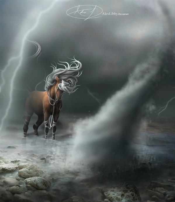 Horse Caught in Storm
