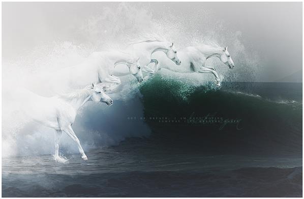 Water Wave Horses