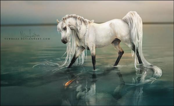 White Horse Photo Manipulation