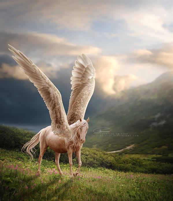 White Horse with Wings Fairy Tale Photoshop Work