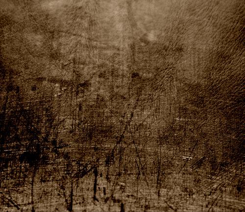 Free dirty distressed
        scratched leather texture for layers by pinksherbet photoshop resource collected by psd-dude.com from flickr