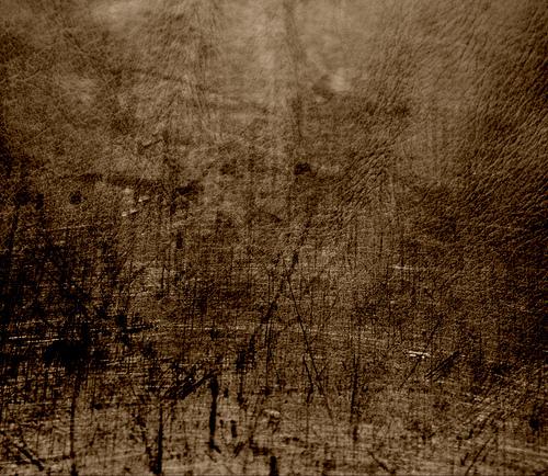 Free dirty distressed
        scratched leather texture for layers by pinksherbet photoshop resource collected by psd-dude.com from flickr