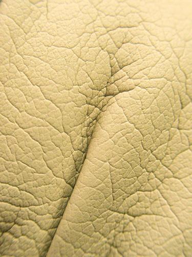 Leather texture by 28481088@N00 photoshop resource collected by psd-dude.com from flickr