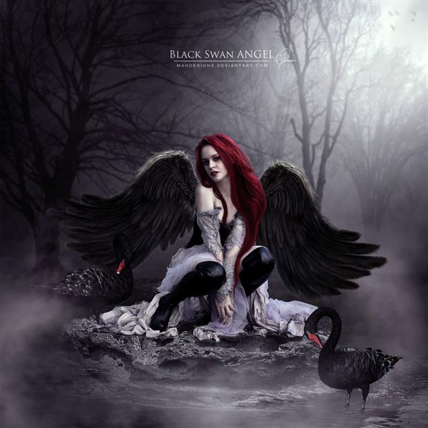 Black Swan Angel by mahdesigns photoshop resource collected by psd-dude.com from deviantart