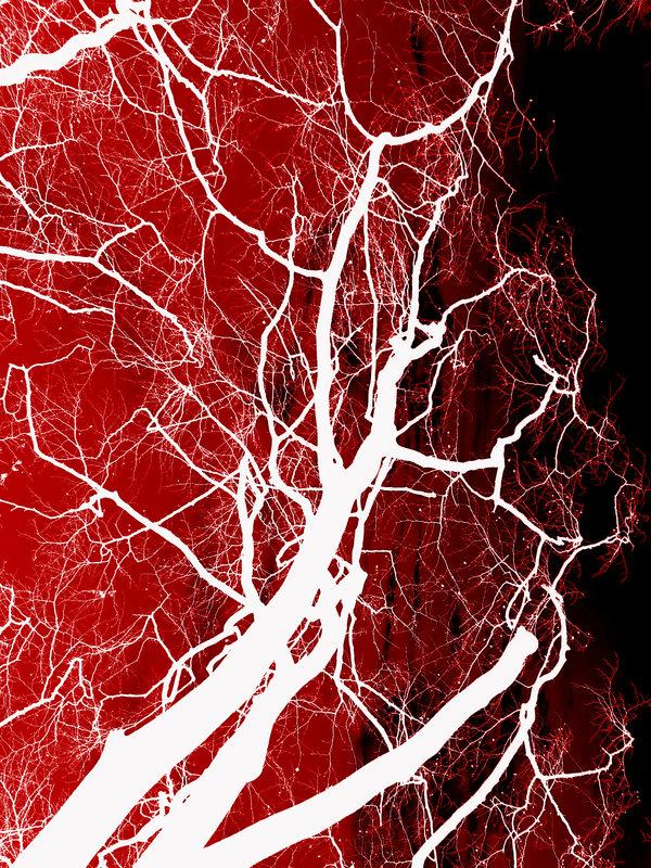 Blood and Trees Texture by Aimi-Stock photoshop resource collected by psd-dude.com from deviantart