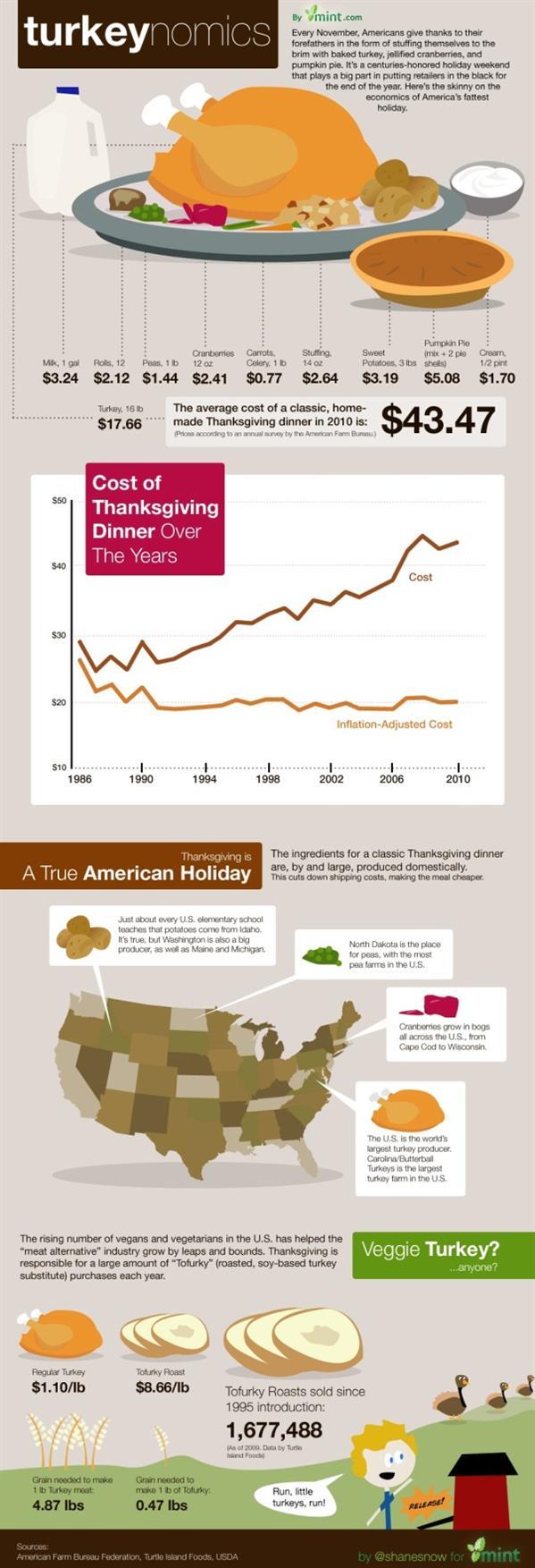 Christmas Turkey Info Graphic