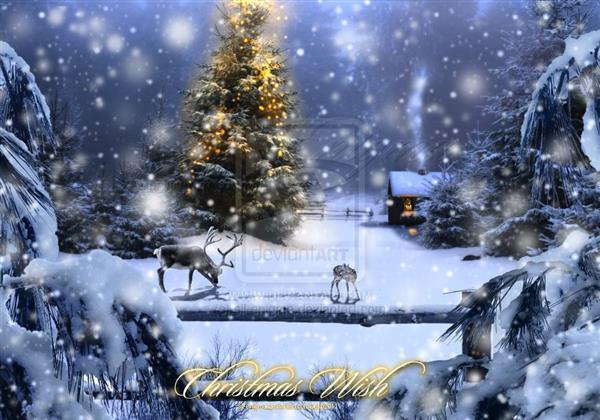 Magic Christmas Night Greeting Card