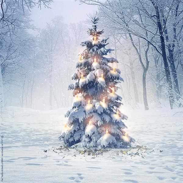 Winter Decorated Magic Xmas Tree