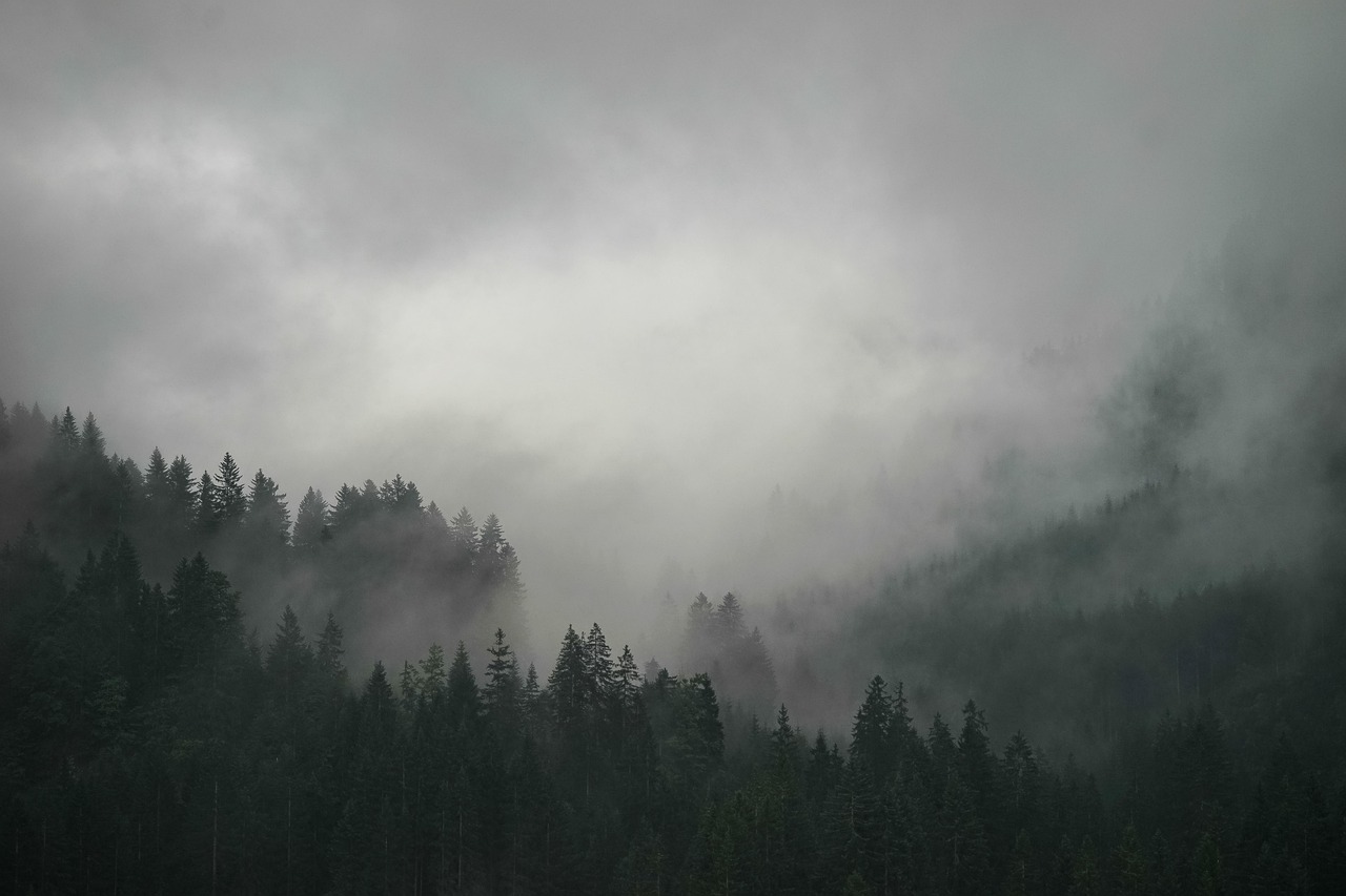 Fog Cinematic Background