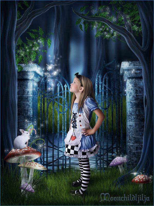 Alice
In Wonderland by moonchild-ljilja photoshop resource collected by psd-dude.com from deviantart