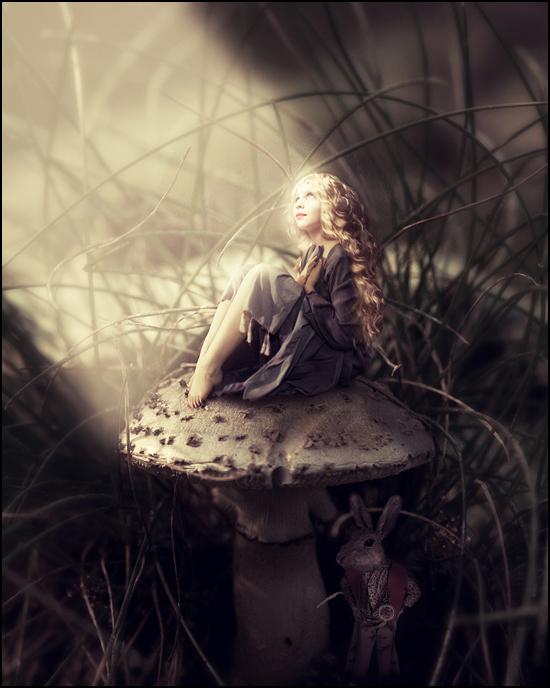 My Wonderland by Alexandra v Bach; photoshop resource collected by psd-dude.com from Behance Network