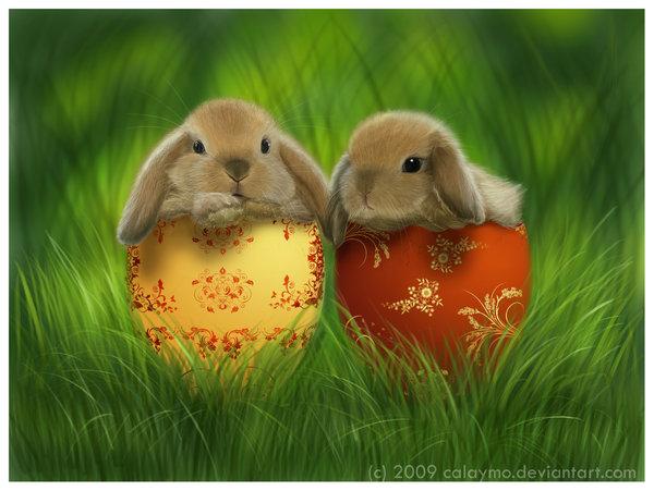 Pretty
 Babies bunnies by Calaymo photoshop resource collected by psd-dude.com from deviantart