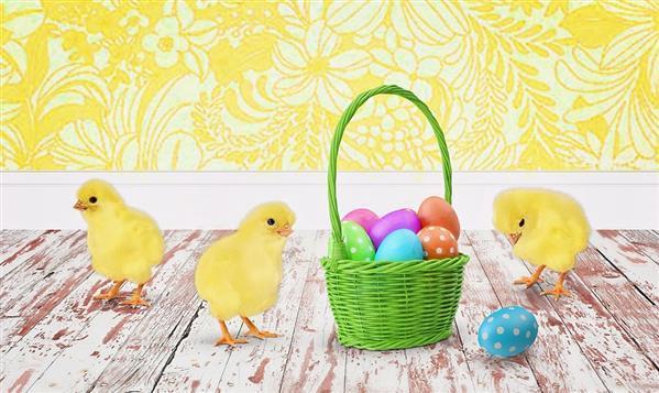 Easter baby chicks and Painted eggs Background
