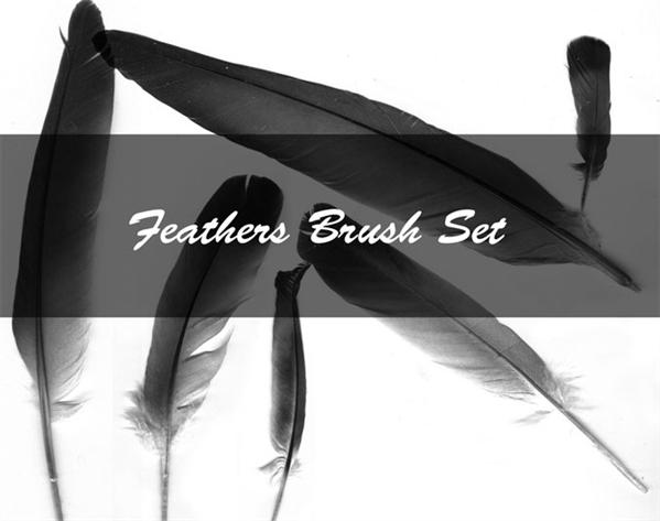 Feather
 Brush Set by Kittyd-Stock photoshop resource collected by psd-dude.com from deviantart