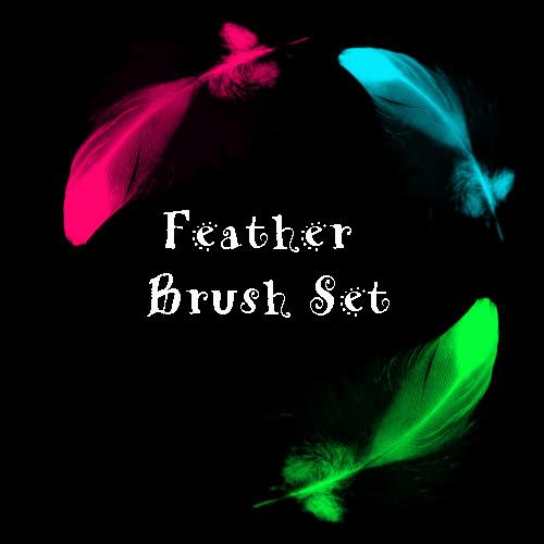 Feather
 Brush Set by eMelody photoshop resource collected by psd-dude.com from deviantart