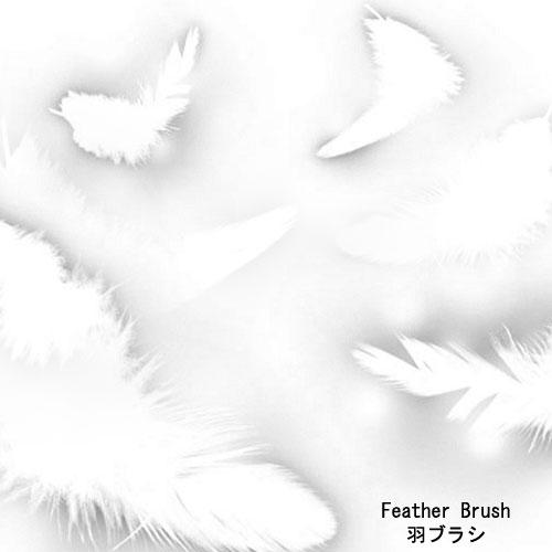 Feather
 Brush by kabocha photoshop resource collected by psd-dude.com from deviantart