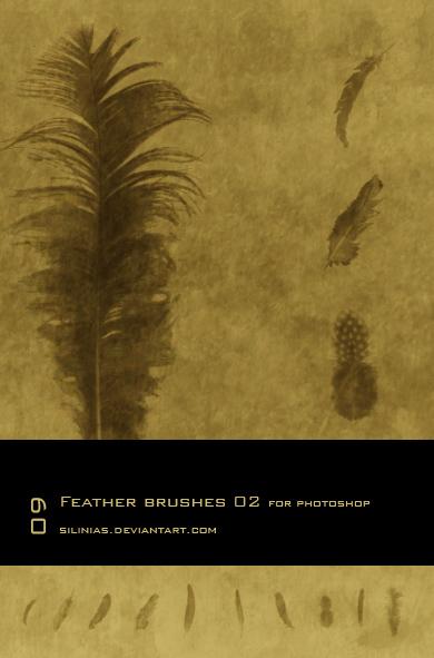 Feather
 Brushes 02 PS by silinias photoshop resource collected by psd-dude.com from deviantart