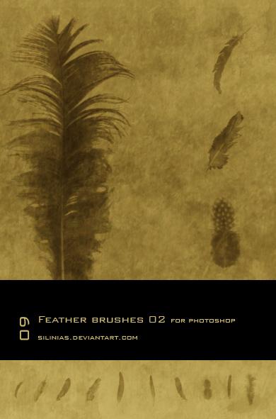 Feather
 Brushes 02 PS by silinias photoshop resource collected by psd-dude.com from deviantart