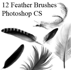 Feather
 Brushes by dollieflesh-stock photoshop resource collected by psd-dude.com from deviantart