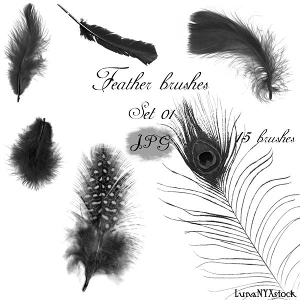Feather
 brushes set by LunaNYXstock photoshop resource collected by psd-dude.com from deviantart