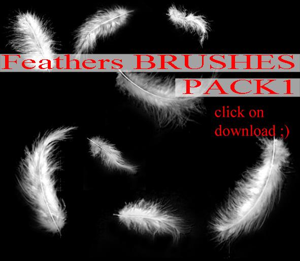 Feathers
 BRUSHES PACK 1 by whynotastock photoshop resource collected by psd-dude.com from deviantart