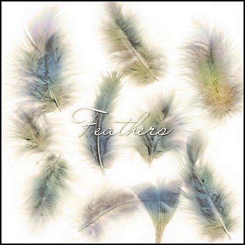Feathers by ShadyMedusa-stock photoshop resource collected by psd-dude.com from deviantart