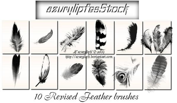 Revised
 Feather brushes by AzurylipfesStock photoshop resource collected by psd-dude.com from deviantart