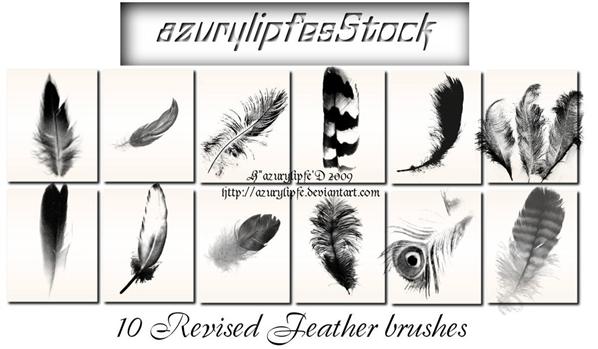 Revised
 Feather brushes by AzurylipfesStock photoshop resource collected by psd-dude.com from deviantart