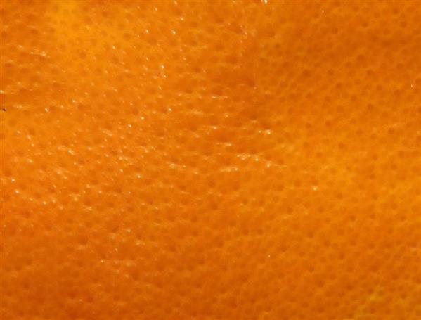 Fruit Orange Skin Pattern