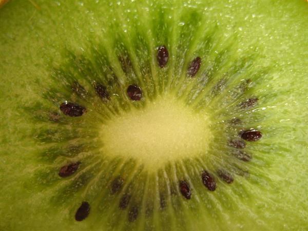 Kiwi cut stock image