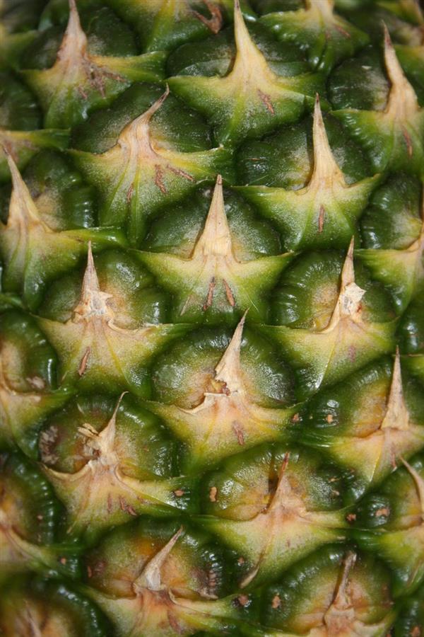 Pineapple Fruit Texture