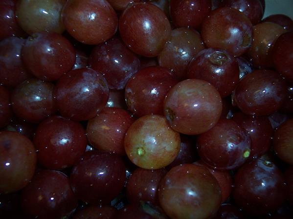 Red Grapes Sock Image