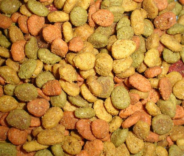 Texture Dog Food