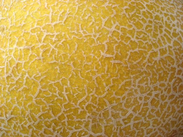 yellow melon texture by ftourini-stock photoshop resource collected by psd-dude.com from deviantart