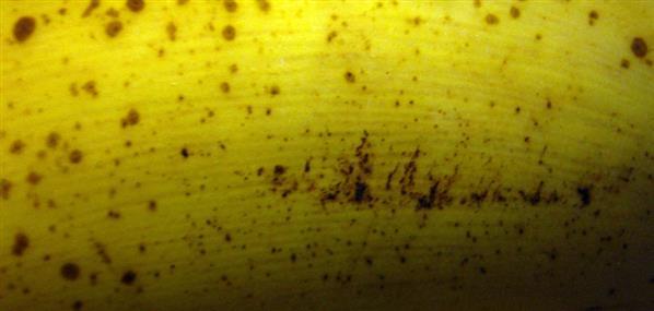 Banana Skin Texture