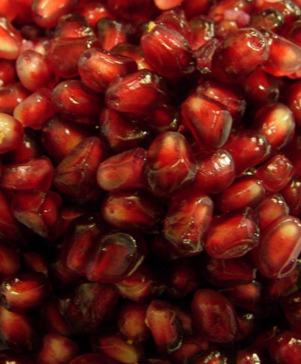 Pomegranate Seeds Stock Image