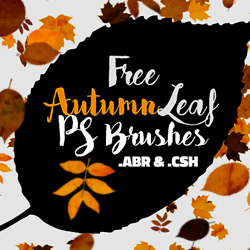Autumn Falling Leaf Brushes And Shapes For Photoshop psd-dude.com Resources