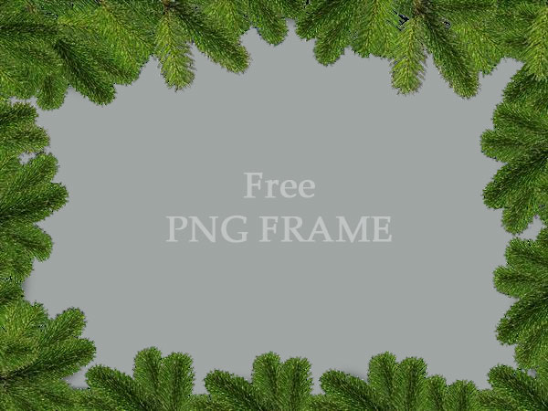 Christmas Background With Fir Branches Free Download