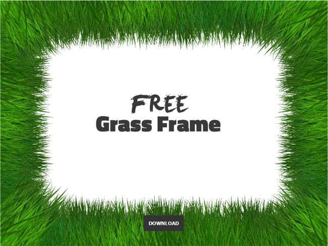 Isolated Grass Frame Free PNG Background