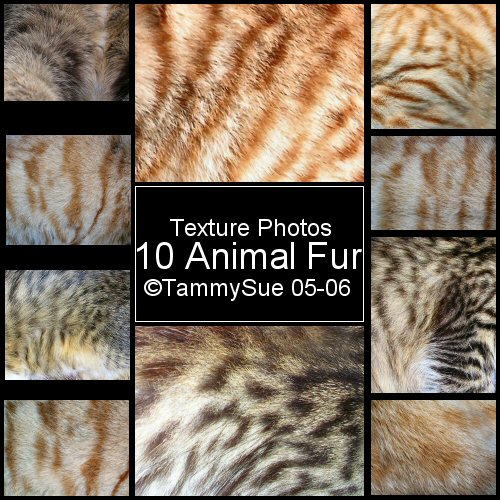 Animal Fur Texture by TammySue photoshop resource collected by psd-dude.com from deviantart