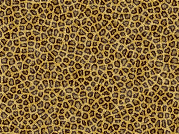 Animal Digital Texture