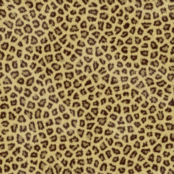 Animal Print Fur Stock Texture