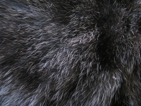 Black Gray Fur Texture