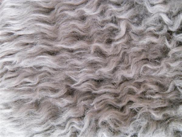 Curly Fur Wool Texture