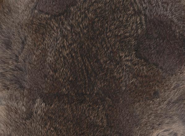 Rabbit Fur Texture