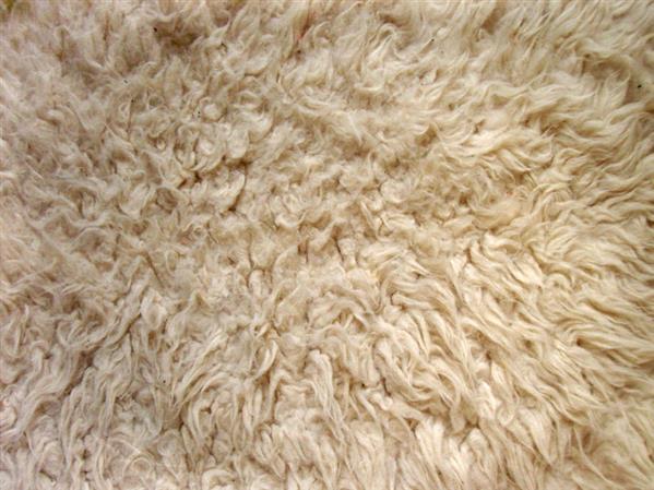 Rug shag pile texture